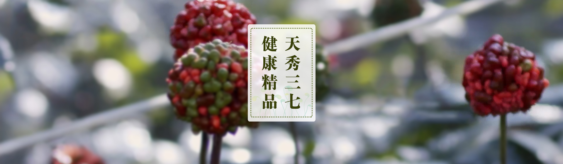 輪播圖片三