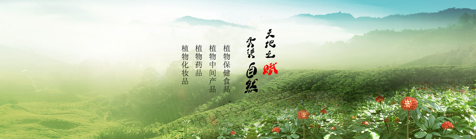 輪播圖片一