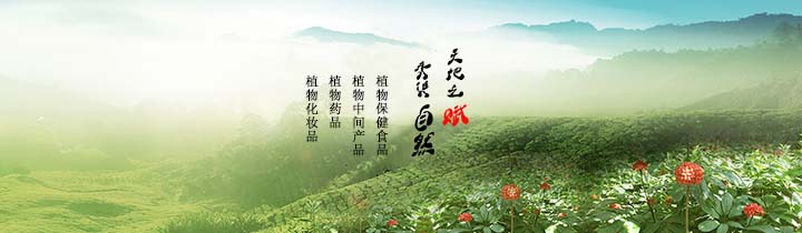 輪播圖片一